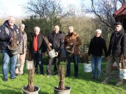 Mitglieder der Nordenhamer Kaufmannsgilde spenden Stecklinge f&uuml;r den Nordenhamer Stadtwald (von links): Winfried Nagel, Lutz Brandes, Fred M&uuml;ller, Lutz Hinrichs, Wolfgang Odenbach, Gudrun und J&uuml;rgen Keup.