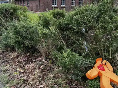 Bei diesem Haus an der Dorfstra&szlig;e ist ein Autofahrer in die Hecke gefahren.