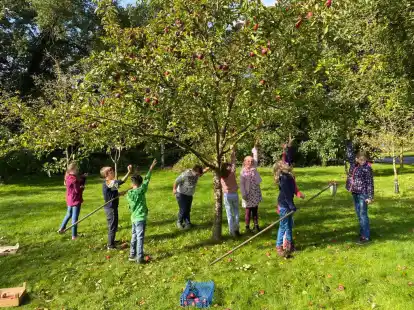 R&uuml;cken vom Ende der Ausbauliste fast ganz an die Spitze: Sch&uuml;ler der Grundschule Ohmstede hier im vergangenen November bei der Aktion &bdquo;Vom Baum ins Glas&ldquo;, das mit dem Pfl&uuml;ck-mich-Team des Ern&auml;hrungsrats organisiert  worden war.
