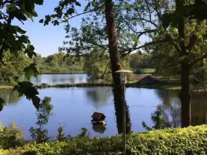 Huntepadd in D&ouml;tlingen