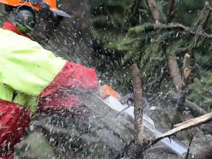 Diese Woche sind Baum-Pflegearbeiten geplant.