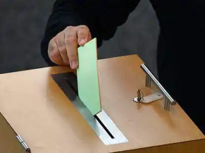 Anja Muhle ist neue Vorsitzende der FDP im Kreis Vechta.