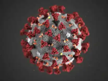 157 Neuinfektionen im Landkreis Oldenburg: Gesundheitsamt warnt davor, die Pandemie nicht mehr ernst genug zu nehmen.