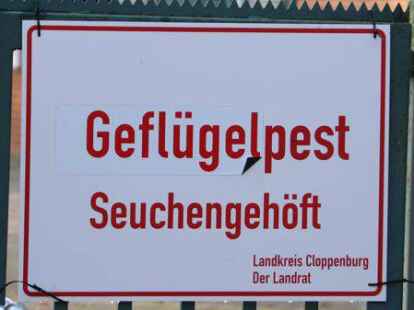 In Nikolausdorf ist nun der dritte Betrieb von der Gefl&uuml;gelpest betroffen.