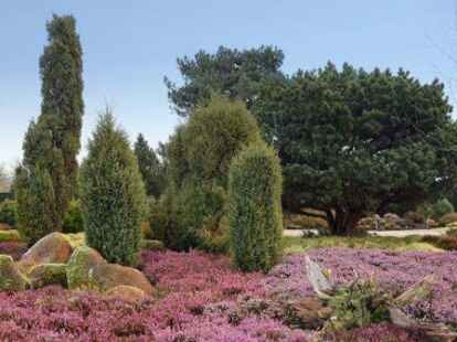 Winterbl&uuml;hende Pflanzensch&auml;tze erleben: Der Park der G&auml;rten l&auml;dt am 13. M&auml;rz zur 2. Sonder&ouml;ffnung ein.
