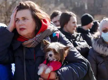 Eine Frau h&auml;lt einen Hund an der ukrainisch-slowakischen Grenze. Der Landkreis Cloppenburg bereitet sich auf die Aufnahme von Fl&uuml;chtlingen vor.