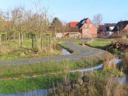 Vorher war hier nur sumpfige Wiese: Jetzt schl&auml;ngelt sich auch im hinteren Teil des drei Hektar gro&szlig;en Gel&auml;ndes ein neuer Weg um die Streuobstwiesen und Lebensr&auml;ume f&uuml;r verschiedene Tier- und Pflanzenarten.
