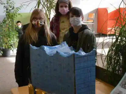 Absolvierten eine Projektwoche: Die Sch&uuml;lerinnen und Sch&uuml;ler der IGS Friesland-S&uuml;d. F&uuml;r die 5. und 6. Klassen stand der Bau eines eigenen Modells auf dem Programm.