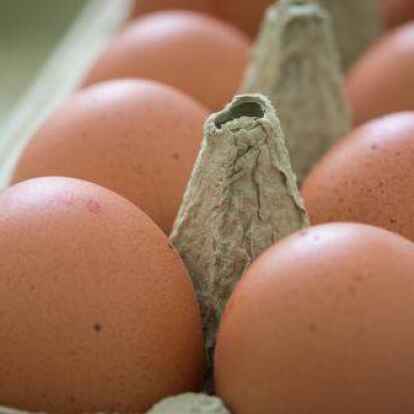 Eier aus Boden-, Bio- oder Freilandhaltung werden angeboten.