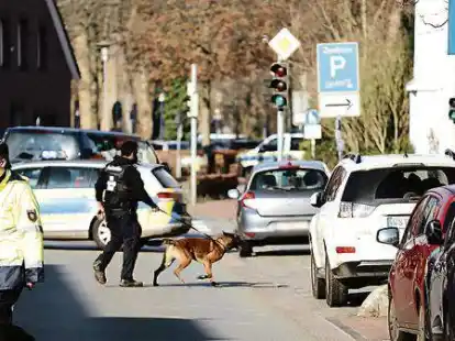 Sprengstoffsp&uuml;rhund im Einsatz: Bei der Durchsuchung einer Arztpraxis nach einer Bombendrohung wurde aber kein Sprengsatz gefunden.