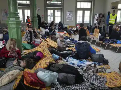 Viele Menschen fl&uuml;chten aus der Ukraine, einige werden auch im Ammerland erwartet: Um sie zu unterst&uuml;tzen, sucht die Kreisvolkshochschule ehrenamtliche Dolmetscher und &Uuml;bersetzer.