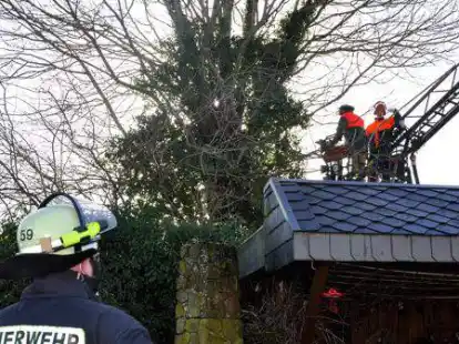 Die Feuerwehr entfernte die morschen Teile des Baumes und richtete ein Plateau ein, auf dem die St&ouml;rche ein neues Nest bauen k&ouml;nnen.