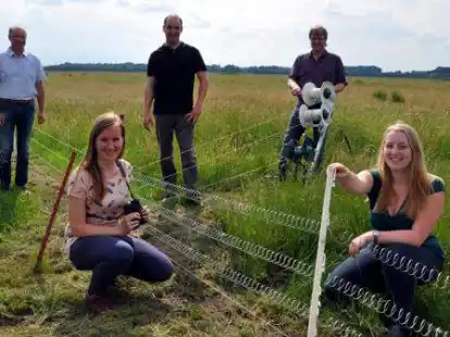 Arbeiten f&uuml;r den Vogelschutz zusammen: Gebietsbetreuerin Jasmin Vo&szlig; (vorne von links) und Carina Menke vom Umweltamt des Landkreises sowie die Landwirte Heinz Thoben (hinten von links) Christian Stumborg und Wolfgang Dierkes. Gemeinsam werden von einem Stromzaun gesch&uuml;tzte Brutfl&auml;chen vorgehalten.