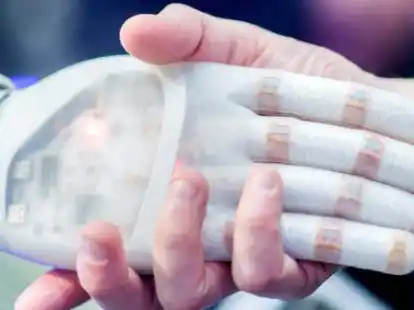 Wie der Einsatz von K&uuml;nstlicher Intelligenz Unternehmen weiterentwickeln kann, ist eines der Themen des Vortrags am 23. M&auml;rz. (Symbolbild)