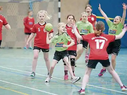 Die j&uuml;ngsten Handballerinnen der HSG Unterweser feierten am Wochenende einen Erfolg gegen die HSG Hude/Falkenburg.