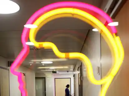 Auch wenn einige Mitglieder des Neurovaskul&auml;ren Netzwerks Nord-West nicht gegen neue Neurologie-Abteilungen in der Region klagen, tragen alle die rechtlichen Schritte mit.