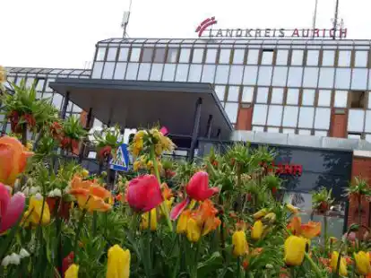 Die Fassade des Auricher Kreishauses soll energetisch saniert werden.