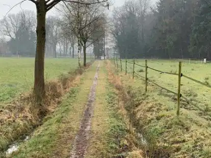 Wird von Spazierg&auml;ngern und Radfahrern gern genutzt: der Torsholter Kirchweg.