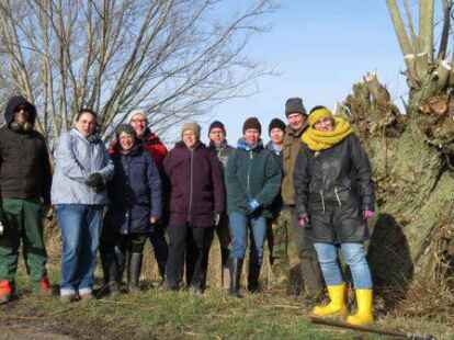 Der Schutz der alten Kopfweiden in der Abbehauser Wisch liegt den Nabu-Mitgliedern am Herzen.