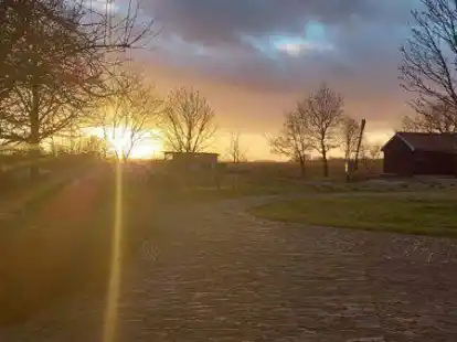 Im Fehnmuseum Eiland in Westgro&szlig;efehn werden ab Donnerstag wieder die Zeitzeugenfilme gezeigt.