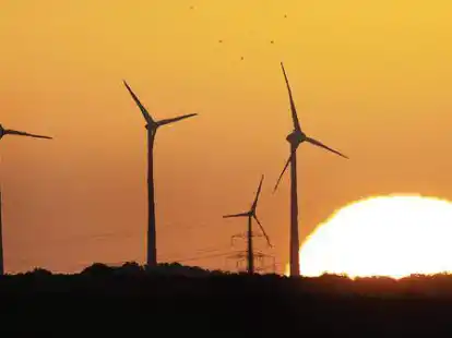 Was tun f&uuml;r den Klimaschutz: Die Gemeinde Wiefelstede w&uuml;rde gerne einen Klimaschutz-Beauftragten einstellen. Nur wartet man im Rathaus noch auf einen F&ouml;rderbescheid f&uuml;r die Stelle.