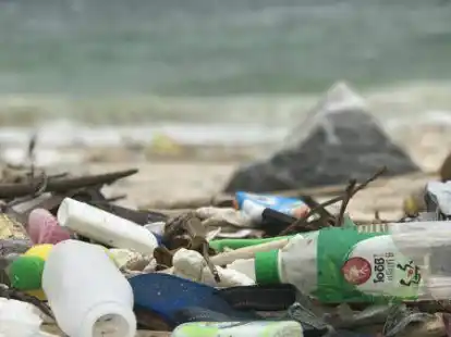 Plastikm&uuml;ll liegt an einem Strand.