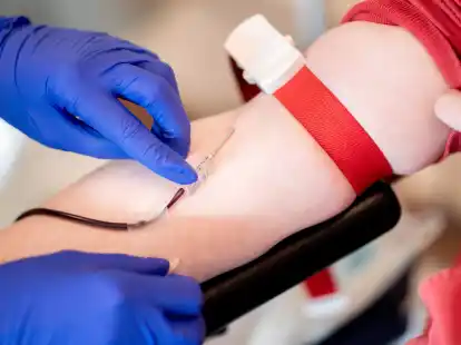 Eine Mitarbeiterin vom Blutspendedienst des Deutschen Roten Kreuzes (DRK) fixiert w&auml;hrend einer Blutspende die Nadel.