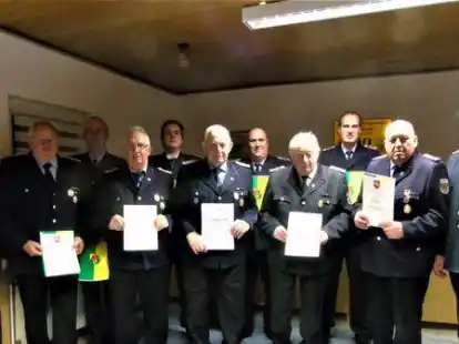 Auszeichnung (von links): Rainer Carstens, Uwe Schellstede, J&uuml;rgen Langenberg, Gerold Kowal, Jan T&uuml;lp, der fr&uuml;here Ortsbrandmeister Gerd Stegie, Till Fitzke, Franz G&ouml;hmann, Eike Meinardus, Georg G&ouml;hmann und der Ortsbrandmeister Heinz-Gerd Stegie