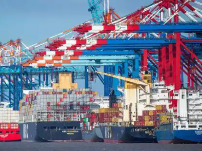 Gro&szlig;e P&ouml;tte im Containerhafen: Teil des VdK-Jahresprogramms ist ein Ausflug nach Bremerhaven. Nach einem gemeinsamen Fischessen schippern die Teilnehmer durch den Hafen und haben direkten Blick auf die ganz gro&szlig;en Schiffe.