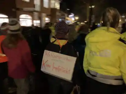 Wieder eine Corona-Demo in Bad Zwischenahn: Dieses Mal nahmen laut Polizei rund 70 Personen teil.