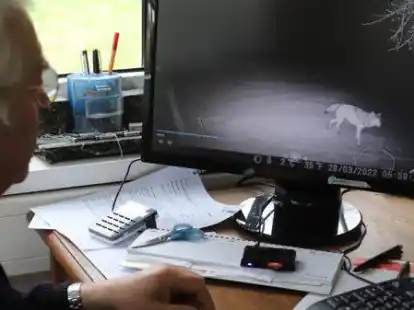 J&auml;ger Clemens Kokenges Wildkamera hat am Montag um 5.59 Uhr einen gro&szlig;en kr&auml;ftigen Wolf abgelichtet.