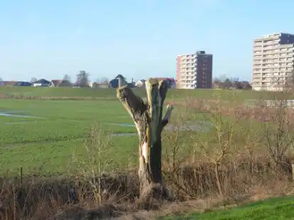 Speicherpolder Horumersiel.