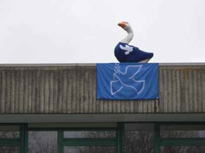 Ein Ganter tr&auml;gt Frieden: Die Skulptur auf dem Dach der Oberschule hat ein neues Outfit.