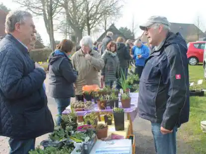 2019 fand letztmals der Staudenmarkt in Grabstede statt: Damals zog es viele Besucher an die St&auml;nde.