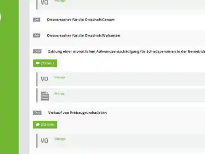 Einige Vorlagen fehlen, andere waren veraltet: der Zustand des Ratsinformationssystems war wieder mal Thema im Gemeinderat.