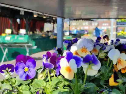 Frische Blumen, frisches Obst: Nur zwei der Angebote auf dem Wochenmarkt in der Gemeinde Hinte.