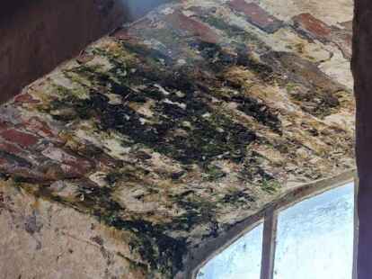 B&ouml;se &Uuml;berraschung am Samstagvormittag: Diesen gr&uuml;n-schwarzen Flecken war mit ein bisschen Putzmittel nicht beizukommen. Bild: Saathoff