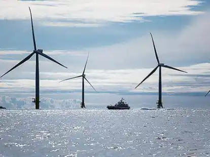 Umweltverb&auml;nde fordern einen naturschonenden Ausbau von Offshore-Windenergie.