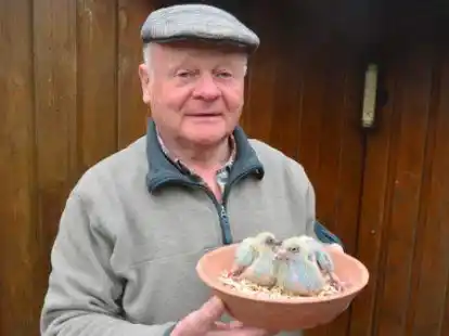 Der Brieftaubenz&uuml;chter Heinke Steenken freut sich, dass sein Hobby nun zum immateriellen Kulturerbe erkl&auml;rt wurde.