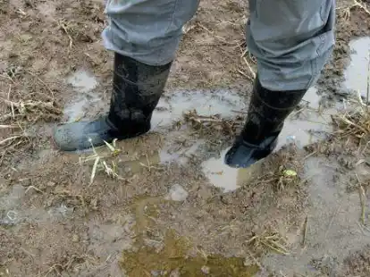Die Wassermassen im Februar &ndash; im Landkreis Leer f&uuml;hrten sie dazu, dass der Boden vollkommen &uuml;bers&auml;ttigt war, das Wasser konnte nicht mehr abflie&szlig;en. F&uuml;r Landwirte und Gartenbesitzer waren das sehr nasse Zeiten, derweil hatte der Entw&auml;sserungsverband alle H&auml;nde voll damit zu tun, die meisten Wassermassen vom Land fernzuhalten.
