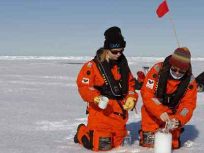 Wissenschaftler des Alfred-Wegener-Instituts nehmen Schneeproben auf dem Meereis. Selbst in der Arktis enth&auml;lt der Schnee Mikroplastik.