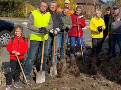 Bepflanzen den Kreisel Am Rieskamp/Ahlhorner Stra&szlig;e: (von links) Lina Brandes, Gerd Bussen, Peter St&ouml;hr, Michael Eger, Lars Behm, Joachim Pooch, Inge-Lore Folkens, Elke Coor&szlig;en und Dieter Folkens