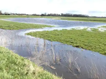 Das &uuml;berschwemmte Weideland in Abbehauser Wehl zeigt das Problem auf: Bei Starkregen stauen sich die Wassermassen an.