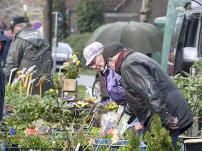 Gro&szlig;er Andrang herrschte am Samstag beim Staudenmarkt in Grabstede.