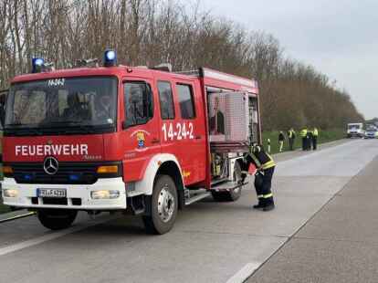 Feuerwehr Sande Neustadtg&ouml;dens Brand Autobahn