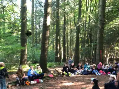 Dar&uuml;ber, dass die Einrichtung eines &bdquo;Kinderheilwaldes&ldquo; im Naturschutzgebiet Stenumer Holz nicht umsetzbar, hat die Verwaltung jetzt informiert (Symbolbild).