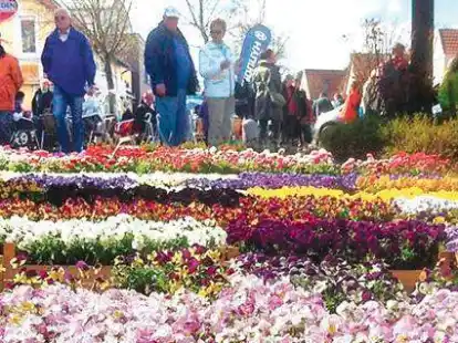 Die Stra&szlig;e geh&ouml;rt dem Gr&uuml;nzeug: Kein Fr&uuml;hlingsfest ohne Bl&uuml;hendes f&uuml;r Haus und Garten und Terrasse.