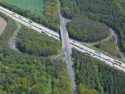 Hier werden keine B&auml;ume gef&auml;llt: Das geplante Industriegebiet an der Autobahn-Anschlussstelle Wildeshausen-West ist von der Stadt praktisch beerdigt worden.