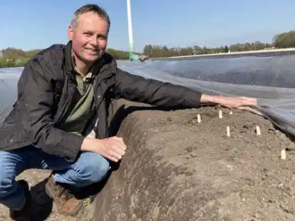 Angenehm warm hat es der Spargel unter der schwarzen Folie: Landwirt Heino von Garrel hofft auf sonniges Wetter und reiche Ernte.