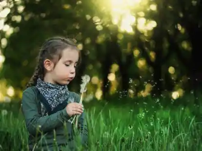 Insbesondere im Gras lauern viele Zecken.